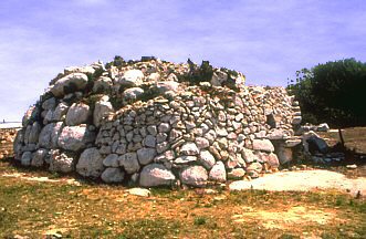 Naveta oriental de l'Argentina