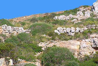 Muralla del Cabo Llucalari