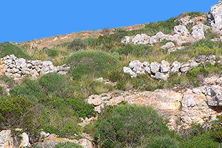 Murada del Cap de Llucalari