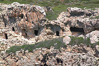 Necròpolis de Caparrot de Forma